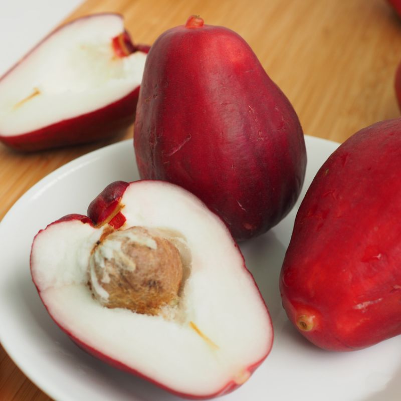 Rose Apple