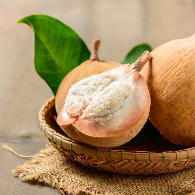 Santol