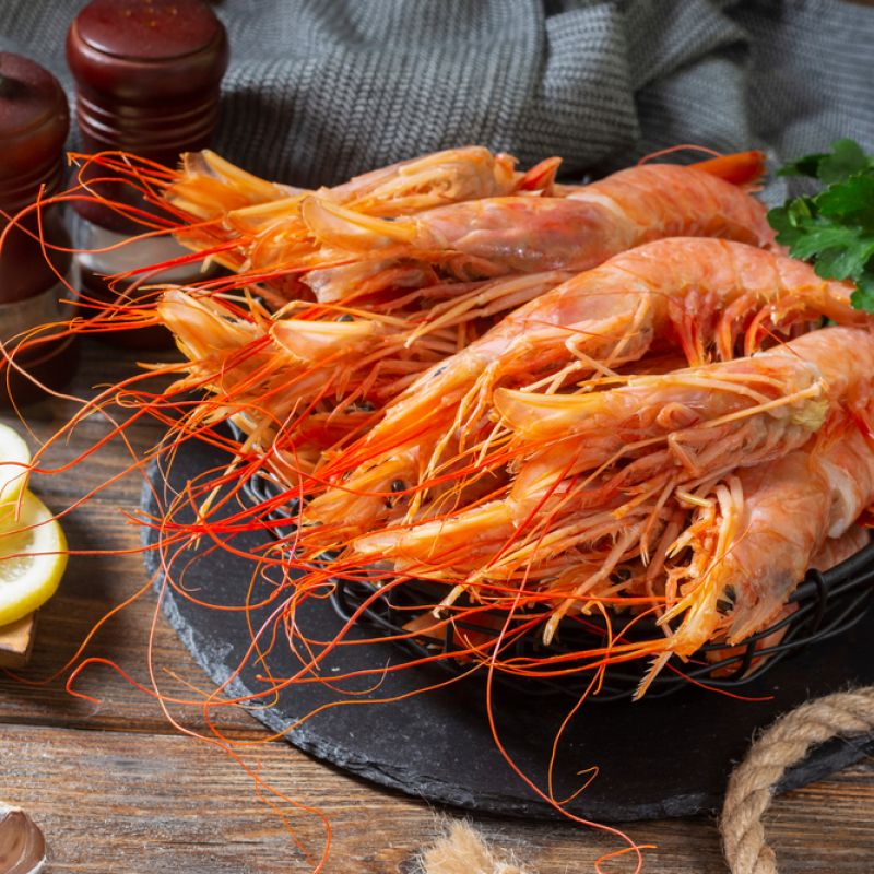 Shrimp