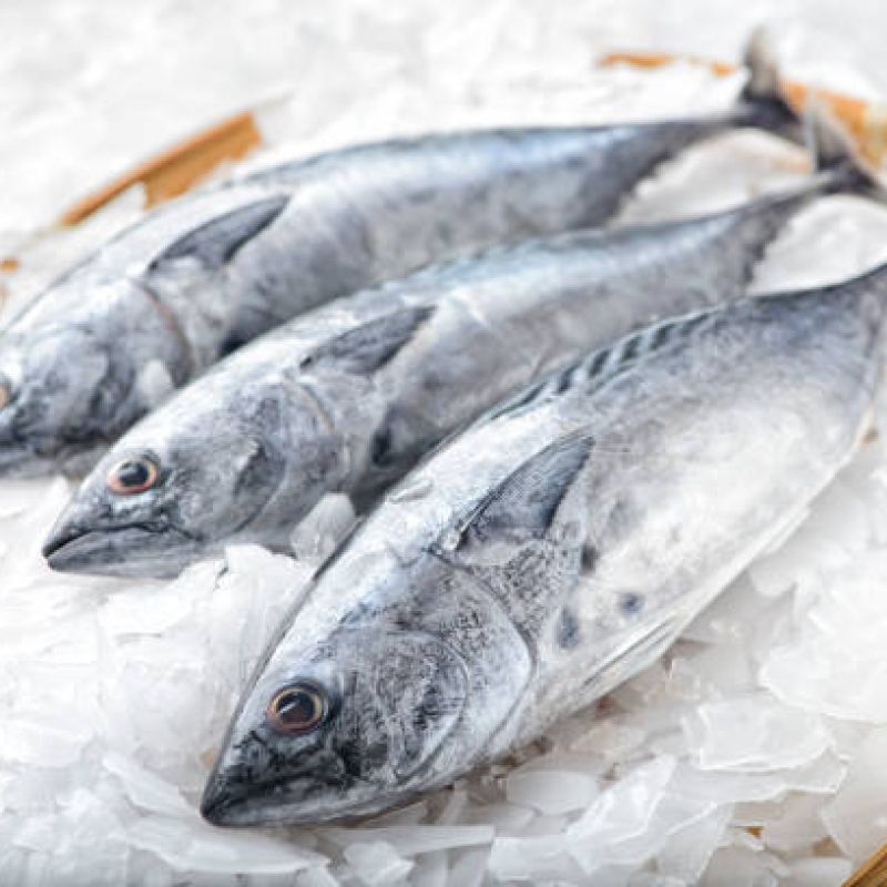 Tuna
