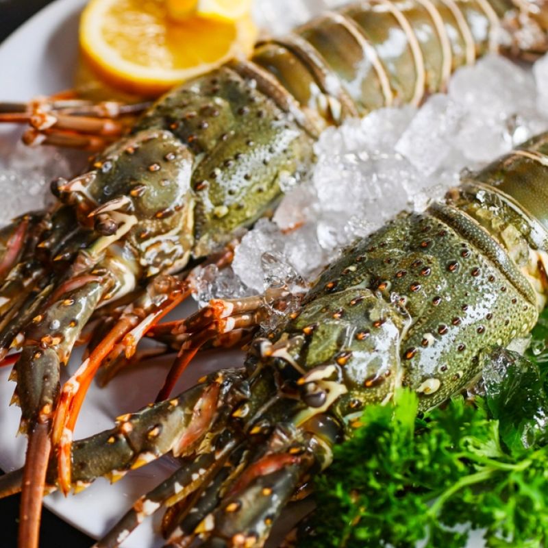 Lobsters