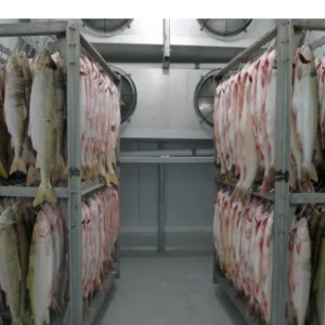 Air-blast freezers