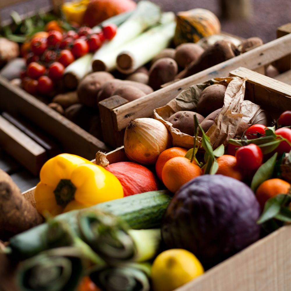Agriculture & Food Products
