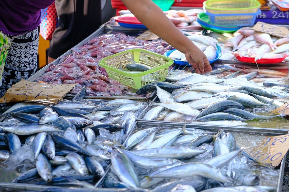 Fisheries & Livestock