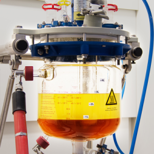Bioplastic Development
